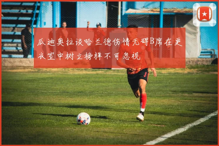 瓜迪奥拉谈哈兰德伤情无碍B席在更衣室中树立榜样不可忽视