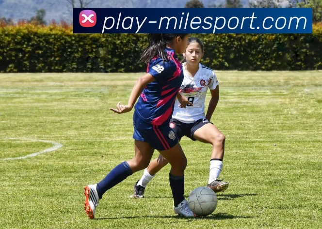 米乐体育APP 体育赛事宣传图